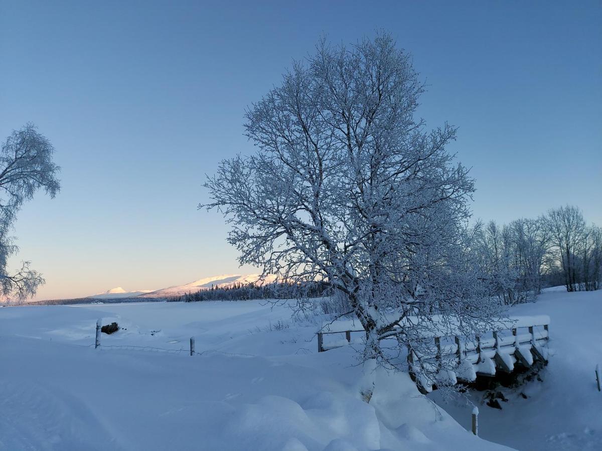 Hattfjelldal Villmarksgard Tommerstue מראה חיצוני תמונה