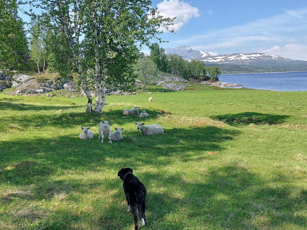 Hattfjelldal Villmarksgard Tommerstue מראה חיצוני תמונה